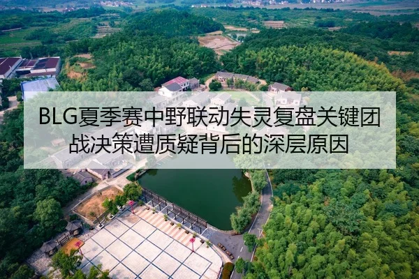BLG夏季赛中野联动失灵复盘关键团战决策遭质疑背后的深层原因